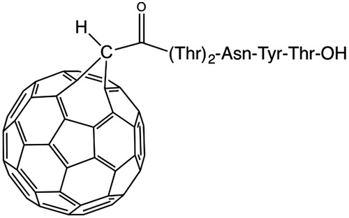 Figure 17. Structure of [60]fullerene derivative of the of the pentapeptide sequence H-Thr-Thr-Asn-Tyr-Thr-OHCitation24.