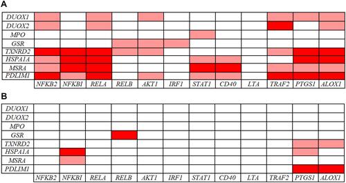 Figure 6 Pearson correlations among inflammation- and redox-related gene expression levels in 39 CVD patients (A) and in 91 controls (B). Correlations with p-values < 0.001 and r values > 0.7 (light red: 0.7 < r < 0.8; dark red: r ≥ 0.8) are presented.