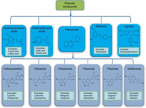 Figure 1 Main classes of polyphenols and their chemical structures.