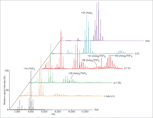 Figure 3. Mass spectra of the TNF-adalimumab complexes. Mass spectra of the mixtures containing trimeric TNF:adalimumab at molar ratios of 1:0 (black), 1:1 (orange), 1:1.25 (green), 1:1.5 (red), 1:2 (cyan), and 0:1.5 (purple) are shown.
