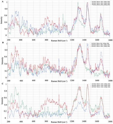 Figure 2. Raman spectra of Y. ruckeri strains in A: WS medium, B: BHI medium, C: TSA medium.