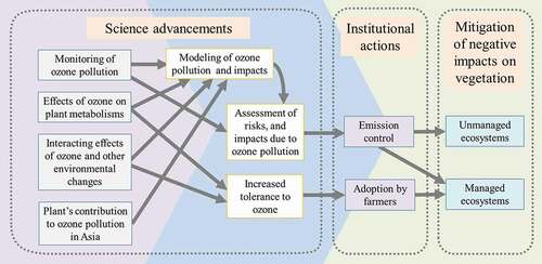 Figure 4. Structure of challenges in order to reduce ozone impacts on vegetation in Asia