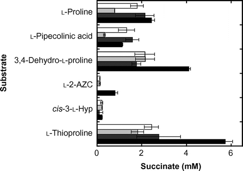 Fig. 2. Amounts of succinate released after enzymatic reaction of proline derivatives.Notes: Unfilled, MlP4H; light grey, SmP4H; dark grey, SrPH; filled, CaPH. The average values are shown as bars with error values (standard deviation) obtained from three independent experiments.