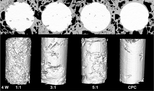 Figure 3 Reconstruction the cross section images of rabbit femur and residual material of the composite by micro-CT analysis at 4 weeks after the operation.Abbreviations: CT, computed tomography; CPC, calcium phosphate cement.