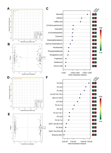 Figure 4 ROC analysis revealed candidate biomarkers for COPD diagnosis. (A and D) Multivariate ROC curve constructed with 5–100 metabolites (A) or lipids (D) based on the cross-validation (CV) performance. (B and E) The predicted class probabilities (average of the cross-validation) for each sample using the 15 feature model of metabolites (B) or lipids (E). The top 15 metabolites (C) or lipids (F) contributed to the prediction model ranked by mean importance measure and the expressive levels are presented aside by color (red, high; green, low).