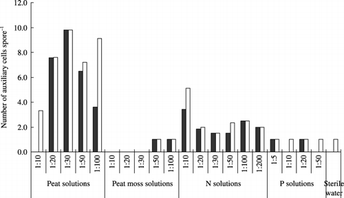 Figure 6  Number of auxiliary cells of Gigaspora margarita in peat solutions, peat moss solutions, nitrogen (N) solutions, phosphorus (P) solutions and sterile deionized water at 10 days (▪) and 16 days (□).