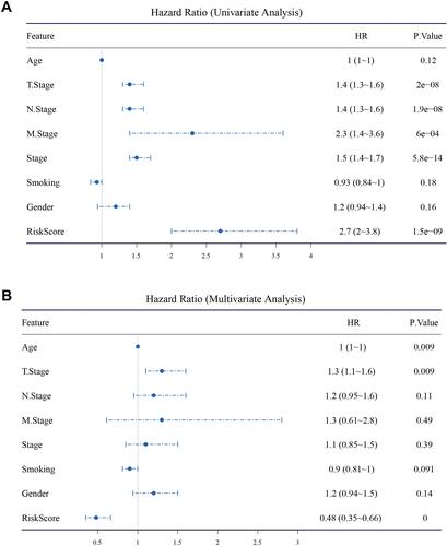 Figure 11 Univariate (A) and multivariate (B) Cox regression analysis of clinical features and risk score. Log rank test was performed.