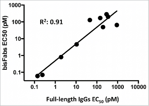 Figure 5. Correlation between the potencies of antibodies in the bisFab or full-length IgG formats. EC50 numbers obtained from the fitted dose-response curves for the full-length IgG or bisFab constructs were transformed to their log10 values and analyzed by linear regression.