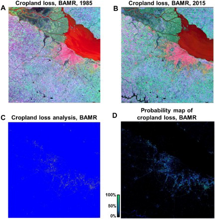 Figure 6. Cropland loss in BAMR. (A) Cropland loss shown on 1985 Landsat image of BAMR. (B) Cropland loss shown on 2015 Landsat image of BAMR. (C) Cropland loss classification analysis. Yellow: lost area of cropland; Blue: non-change area of cropland. (D) Probability map of cropland loss results. Black: 0%; Blue: 50%; Green: 100%. (Color online.)