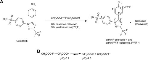 Figure 2 (A) Preparation of ortho-F-1. (B) The less reactive CF3COOF was formed as the major fluorinating reagent.