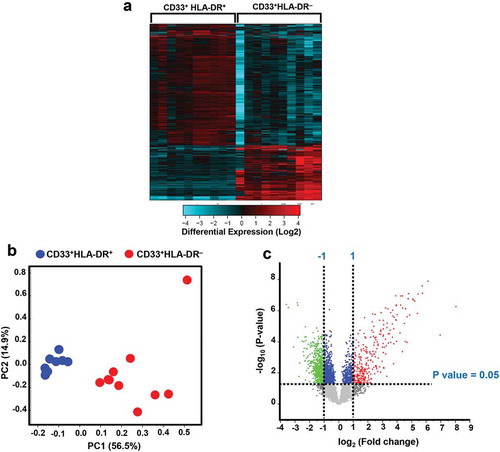 Figure 1. Hierarchical clustering for differentially expressed genes in circulating CD33+HLA-DR+ and CD33+HLA-DR– myeloid cell subsets from healthy donors. Hierarchical clustering of CD33+HLA-DR+ and CD33+HLA-DR– myeloid cells based on differentially expressed genes. Each column represents a sample and each row represents a gene. Expression level of each transcript is depicted according to color scale (a). Principal component analysis (PCA) based on differentially expressed genes in each myeloid subpopulation (b). A Volcano plot shows genes that were upregulated (red), downregulated (green) or remained unchanged (grey) when comparing CD33+HLA-DR+ vs. CD33+HLA-DR– myeloid cell subsets (c). Volcano plot shows differentially expressed genes with a P value cutoff of <0.05 and Log2 fold change >1 and <-1, as indicated by the horizontal line and vertical lines, respectively