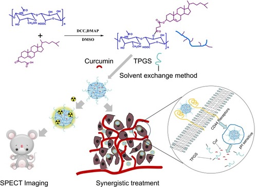 Figure 1 Schematic illustration of the preparation of HA-CHEMS-Cur-TPGS NPs, SPECT imaging and synergistic treatment.