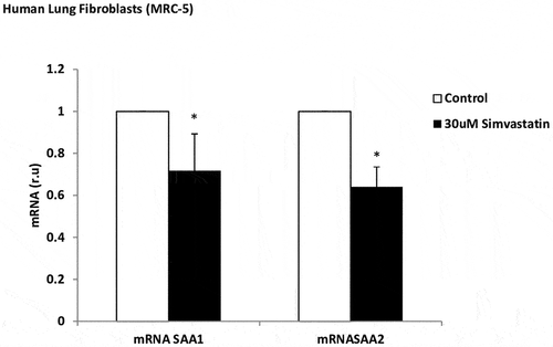 Figure 5. Effect of simvastatin on SAA expression in lung fibroblasts. mRNA expression of SAA1 and SAA2 produced by human lung fibroblasts, without stimulation (white bars) and stimulated with simvastatin (30 µM, black bars). r.u. = Relative units versus control; *p < 0.05 versus control. Each bar in the figure is mean± SE n = 6.