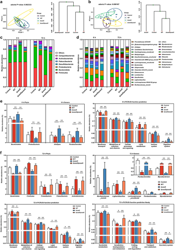 Figure 4. Effects of SaaS on the diversity of colon microbiota. (a) Principal coordinate analysis (PCoA) and clustering analysis at 6 hpi; (b) PCoA and clustering analysis at 72 hpi; (c) Composition of colon microbiota at the phyla levels at 6 and 72 hpi; (d) Composition of colon microbiota at the genera levels at 6 and 72 hpi. (e) Differential microbiota at phyla and genera levels and functional prediction of colonic microbial genes at 6 hpi; (f) Differential microbiota at phyla and genera levels and functional prediction of colonic microbial genes at 72 hpi. hpi: hours after infection. Data are represented as means±SD; n = 7–10. Statistical significance was assessed using Student’s t-test. *P < 0.05, **P < 0.01.