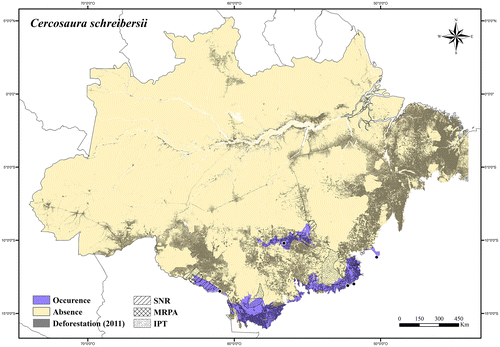 Figure 37. Occurrence area and records of Cercosaura schreibersii in the Brazilian Amazonia, showing the overlap with protected and deforested areas.