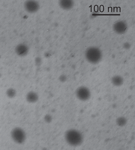 Figure 2.  Transmission electron microphotography of ibuprofen-loaded microemulsions.