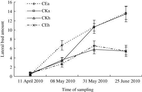 Figure 6. Number of lateral buds on the two plants in different treatments in the greenhouse. CKH and CKA represent the habitats in which H. scandens or A. philoxeroides lived alone, and CE represents the treatment which H. scandens shared with A. philoxeroides. The bars in the figure stand for the Std. Errors of the replications (n=9).