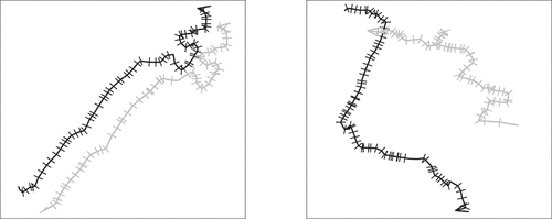 Figure 2. Example bus trajectories. Dashes perpendicular to movement paths denote trajectory “fixes” (timestamped points in the trajectory). The left pair shows trajectories of the same bus route collected at the same time but on different days. The left pair are spatially coincident (same bus route), but have been displaced for visual clarity. This displacement was not employed during similarity calculation. The right pair shows trajectories with different routes and different times.