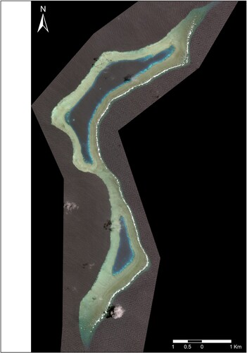 Figure 4. Satellite image of Boot Reef, showing the unique boot-like shape after which it is named, as well as the two narrow lagoons and reef flat ‘isthmus’ that separates them (image: Geospatial Intelligence Pty Ltd./Digital Globe).