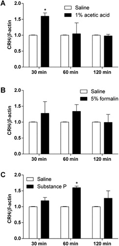 Figure 1. CRH mRNA expression in the hypothalamus in various types of pain model. Mice were injected with (A) 1% acetic acid (i.p.), (B) 5% formalin (intraplantar injection into the hindpaw) or (C) substance P (0.7 μg, i.t.). The hypothalamus was dissected at 30, 60, and 120 min after drug administration and CRH mRNA level was measured by real-time PCR method. The bars indicate the standard error of the mean. The number of animal used in each group was eight (*p < 0.05, compared with saline-treated group each time point).