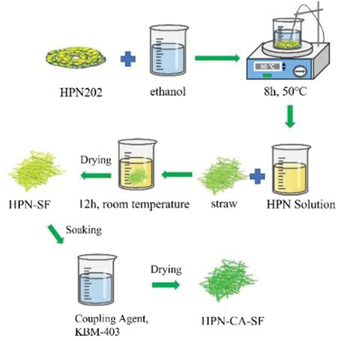 Figure 2. HNP treatment and HNP/CA co-treatment process.