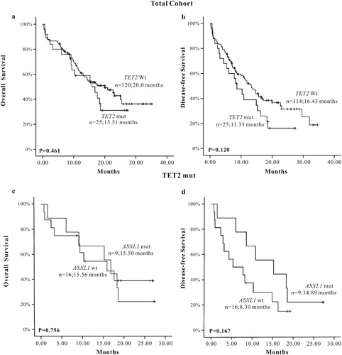 Figure 4. The K-M survival curve of TET2 mutations in total AML patients, (a) OS (n = 145), (b) DFS (n = 139); The K-M survival curve of TET2 mutations when accompanied with ASXL1 mutations in AML patients, (c) OS (n = 25), (d) DFS (n = 25).