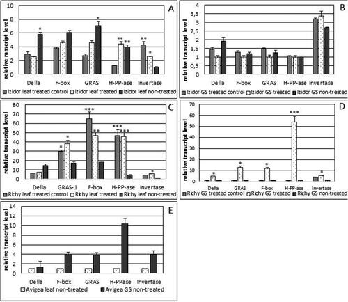 Figure 4. Relative transcript level of the first set of selected genes /Della, GRAS, F-box, H-PP-ase, Invertase/ in leaves and green seeds (GS) of plants grown from ‘treated’, ‘treated control’ and ‘non-treated’ seeds of the three investigated cultivars in 2020. A, B – transcript level in leaves and GS of cv. Izidor; C, D – transcript level in leaves and GS of cv. Richy; E – transcript level in leaves and GS of cv. Avigea. Data represent the mean ± SE. The one-way ANOVA (Holm–Sidak) statistical test was applied to evaluate the difference between all the variants. Asterisks denote statistically significant differences *p < .05; **p < .01; ***p < .001.