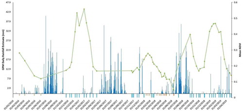 Figure 5. January 2016 to April 2019 time series correlation of Normalized Difference Vegetation Index (NDVI) readings (green line) from the cropped area downstream of Ann Sagar with rainfall (blue histogram), and presence (blue dashes under the X-axis) or absence (amber lines under the X-axis) of water in Ann Sagar. Readers of the print article can view all figures in colour online at https://doi.org/10.1080/02508060.2021.1874780