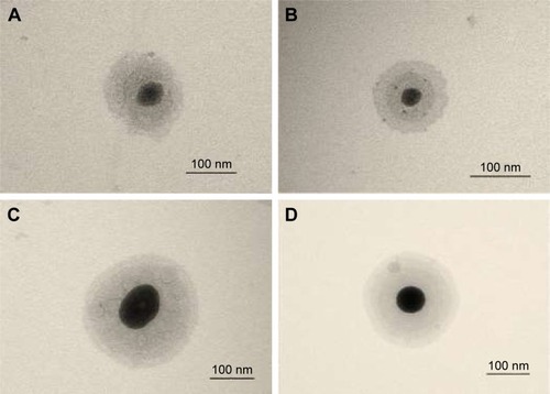 Figure 2 TEM images: (A) blank micelle, (B) LTG-loaded micelle, (C) blank mixed micelle, (D) LTG-loaded mixed micelle.Abbreviations: LTG, lamotrigine; TEM, transmission electron microscope.