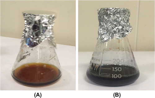 Figure 1. L. inermis extract (a) and aqueous solution of 10 − 3 mmol/L AuCl3 with L. inermis (b).