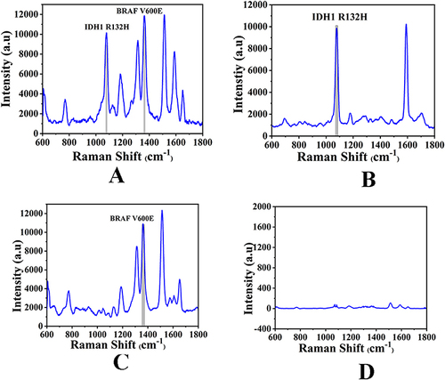 Figure 9 The qualitative analysis of ctDNAs. (A) Coexistence of IDH1 R132H and BRAF V600E (B) the exist of IDH1 R132H, and (C) BRAF V600E alone (D) a negative result.