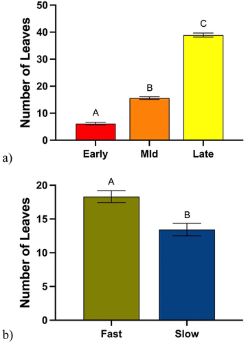 Figure 10. A) Mean number of leaves across different soybean growth stages (early, mid, late). Different letters denote significant differences in a mean number of leaves as determined by post hoc analysis using Tukey’s test (p=.0001). B) Mean number of leaves across fast and slow soybean genotypes. Different letters denote significant differences in a mean number of leaves as determined by post hoc analysis using a student t-test (p=.002).