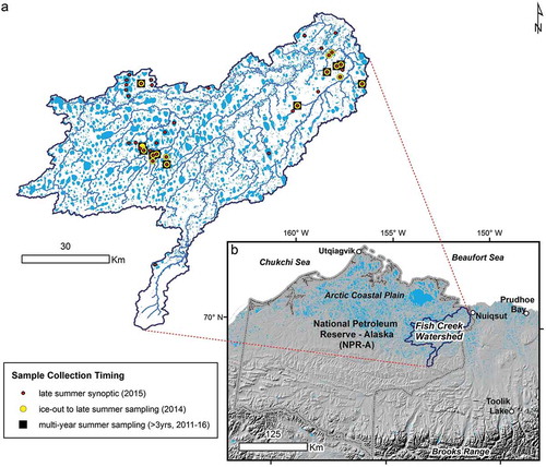 Figure 1. (a) Sample locations and timing in the (b) Fish Creek Watershed in northern Alaska, USA, approximately midway between Utqiaģvik and Prudhoe Bay along the Beaufort Sea coast and entirely within the National Petroleum Reserve – Alaska (NPR-A).