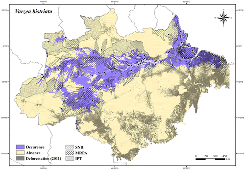 Figure 78. Occurrence area and records of Varzea bistriata in the Brazilian Amazonia, showing the overlap with protected and deforested areas.