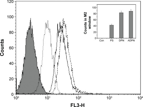 Figure 7 Uptake of free PS and dendrimers by SK-OV-3 cell lines was monitored by FACS.Notes: Shaded area indicates the background counts due to cells alone. PS was used at 2 μM concentration in each of the experiments. Free PS (dotted line), DPN (continuous line), and ADPN (dashed line). (Insert) Fluorescence observed in M2 window was plotted for each treatment.Abbreviations: PS, 5,10,15,20-tetrakis (4-hydroxyphenyl)-21H,23H-porphine; FACS, fluorescence-activated cell sorting; PAMAM, poly(amidoamine); DPN, PAMAM-(PS)-Ni-NTA; ADPN, DPN with affinity; M2, counts in 10 to 100 in Filter3 (FL3-H) channel; Con, untreated cells.