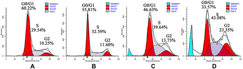 Figure 6 Effects of SMC on HepG2 cell-cycle distribution at 0 (A), 24 (B), 36 (C), and 48 (D) h.