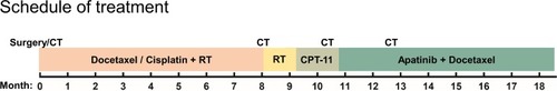 Figure 4 The treatment schedule of the patient.