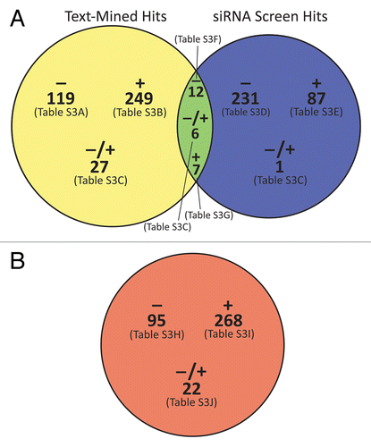 Figure 2. Venn diagrams of the integrated siRNA and pathway analysis results. (A) 739 total genes, proteins, and protein complexes were identified as apparent modulators of autophagy by text mining with our manual curation (yellow circle) and/or siRNA screening (blue circle). The diagram shows the classification of those entities into negative, positive, and dual-potential modulators, and it indicates the tables in Table S1 in which those entities are listed. (B) 385 small molecules were identified by text-mining as modulators of autophagy and categorized in the same manner. Circles were drawn approximately to scale using VennMaster as described in the legend to Figure 1.
