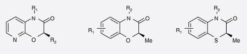 Figure 5. N-substituted pyrido/benzo oxazines-3(4H) and thiazin.