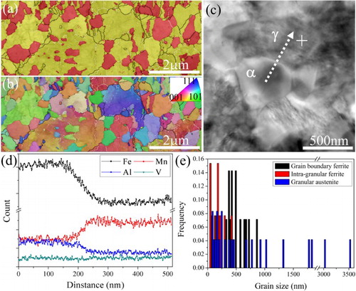 Figure 2. (a) EBSD phase map of granular structure showing the distribution of ferrite both at austenite grain boundaries and within austenite grain interior. Black line represents high angle boundaries (θ > 15°); white line represents low angle boundaries (2° < θ < 15°). (b) The corresponding orientation image. (c) STEM image showing granular ferrite and austenitic matrix. α: ferrite; γ: austenite. Dashed arrow marks the position of TEM-EDS line measurement. White cross marks the position of TEM-EDX spot measurement. (d) The TEM-EDS analysis showing the element partitioning between granular ferrite and austenitic matrix. (e) The grain size distribution of granular ferrite and granular austenite.