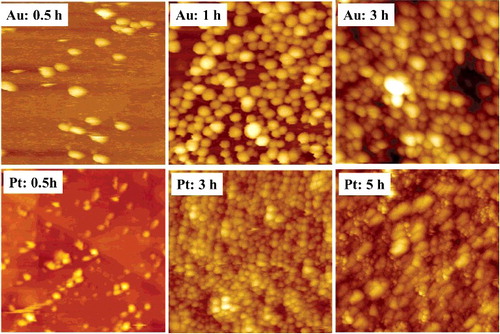 Figure 5. STM images of different immersion time of Au NPs and Pt NPs on Au electrode modified with thiol (150 × 150 nm2).