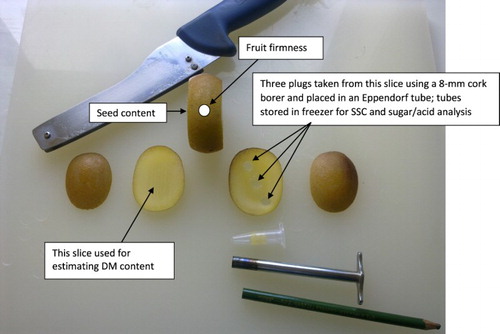 Figure 1. Procedure for sampling fruit of Gold3 (Actinidia chinensis var. chinensis ‘Zesy002’) kiwifruit for firmness, dry matter (DM) content, soluble solids content (SSC), seed content and sugar/acid analysis.