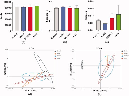 Figure 5. DGNTG regulates the structure of gut microbiota in AA rats. Alpha-diversity analysis by Reads index (a), Shannon _e index (b) and Simpson index (c). Principal component analysis (PCA) of gut microbiota of rats among the control, model and DGNTG groups (d). Principal Coordinate Analysis (PCoA) of gut microbiota based on unweighted UniFrac (e). Data are presented as the means ± SD. n = 3. *p < 0.05 and **p < 0.01 vs. control group, #p < 0.05 and ##p < 0.01 vs. model group.