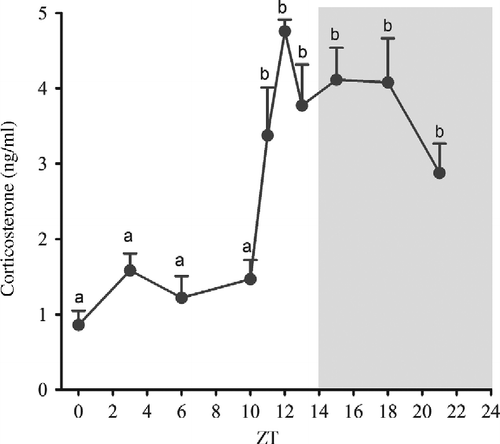 Figure 3.  Daily variations in plasma corticosterone levels (ng/ml) from Syrian hamsters housed under a 14:10-h light–dark cycle and killed at the indicated time points over 24 h. Corticosterone levels were determined by RIA. The black horizontal bar represents the dark period. Data are expressed as mean ± SEM of six animals in each point. a different from b, P < 0.01 tested by one-way analysis of variance followed by Newman–Keuls test.