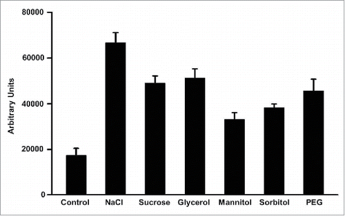 Figure 3. The katB promoter-gfp fusion construct was transformed into Anabaena PCC 7120 and the katB promoter activity was monitoredCitation13 in the presence of various osmolytes such as NaCl (150 mM), sucrose (300 mM), glycerol (300 mM), manitol (300 mM), sorbitol (300 mM), and PEG (100 mM). Cells were exposed to the above-mentioned osmolytes for 18h. The green fluorescence (λex = 490 nm, λem = 520 nm) of the reporter GFP is plotted as bar diagram. Standard deviation for 5 independent experiments is shown as error bars.