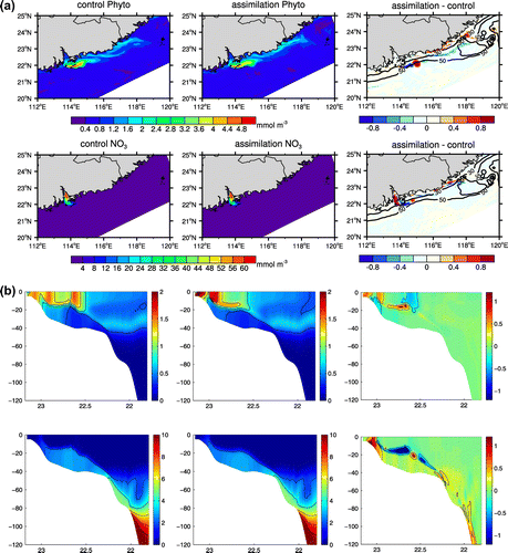 Figure 4. (a) Surface phytoplankton (units: mmol m−3) and nutrients (NO3; units: mmol m−3) from the control run, assimilation run, and the difference (assimilation – control) on day 40. (b) Across-shore section of phytoplankton (units: mmol m−3) and nutrients (NO3; units: mmol m−3) from the control run (left column), assimilation run (middle column), and the difference (assimilation – control) (right column) along line 338 on day 40.