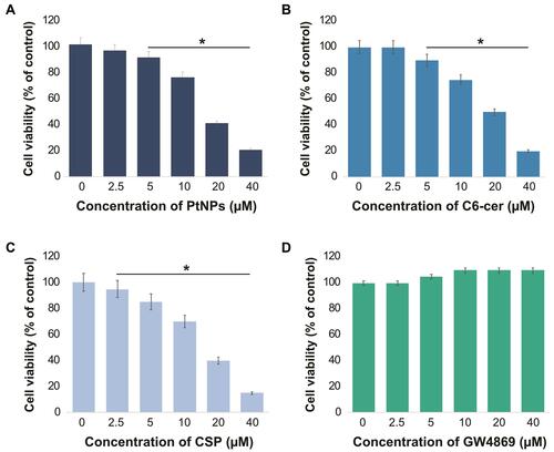 Figure 4 Dose-dependent effect of PtNPs, C6-cer, CSP and GW4869 on cell viability of A549 cells. A549 cells were treated with various concentrations of (A) PtNPs (2.5–40 µM), (B) C6-cer (2.5–40 µM), (C) CSP and (D) GW4869 (2.5–40 µM) in Opti-MEM for 24h. Cell viability was determined using CCK-8. The results are expressed as mean ± standard deviation of three independent experiments. The treated groups showed statistically significant differences from the control group by the Student’s t-test; *p < 0.05 was considered significant.