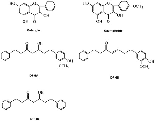 Figure 1. Chemical structures of five major constituents in A. officinarum ethanol extract. Galangin: 3,5,7-trihydroxyflavone; Kaempferide: 3,5,7-trihydroxy-4-methoxyflavone; DPHA: 5-hydroxy-7-(4-hydroxy-3-methoxyphenyl)-1-phenyl-3-heptanone; DPHB: 7-(4-hydroxy-3-methoxyphenyl)-1-phenyl-4-ene-3-heptanone; DPHC: 1,7-diphenyl-5-hydroxy-3-heptanone.