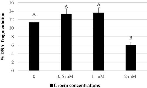 Figure 1. Percentages of frozen-thawed buffalo sperm with fragmented DNA after 2 h incubation with different crocin concentrations. A, B Bars with different superscripts are different; P < .01