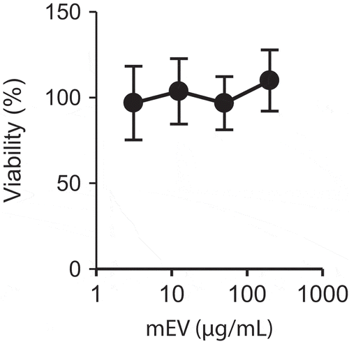 Figure 3. Cytotoxicity of mEVs in vitro. Raw264.7 cells were incubated with up to 200 µg/mL of mEVs for 24 h (N = 4, mean ± standard deviation).